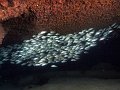 Las_Galeras_07