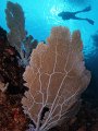 Las_Galeras_27
